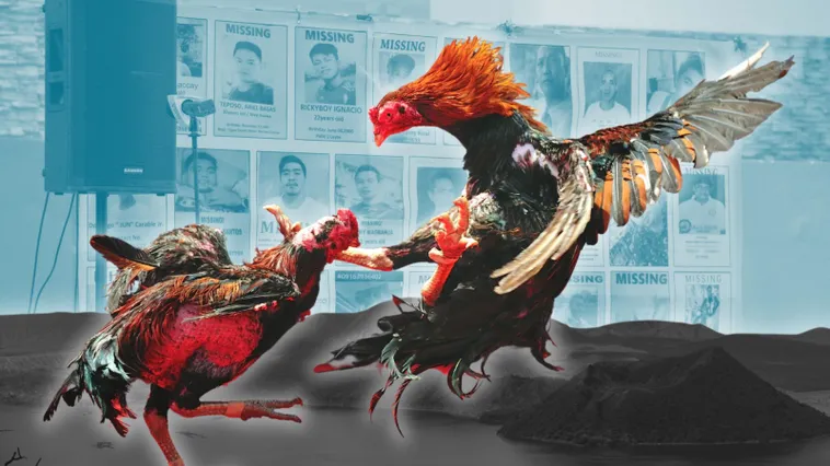 Cách Chơi Đá Gà Sabong WinVN Đỉnh Cao Giải Trí Thách Thức Tột Độ 1 Cách Chơi Đá Gà Sabong WinVN Đỉnh Cao Giải Trí Thách Thức Tột Độ